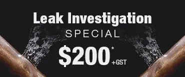 Leak Investigation Discount Papatoetoe